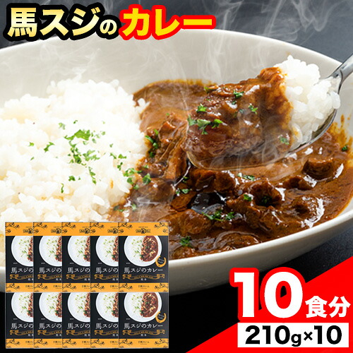 【ふるさと納税】たっぷり!馬スジカレー 10食セット《60日以内に出荷予定(土日祝除く)》馬スジ カレー お肉 馬すじ カレーライス 馬肉 贈答 ギフト グルメ お取り寄せ 熊本県 大津町 送料無料 個包装 大人気 簡単調理 千興ファーム|熊本県大津町