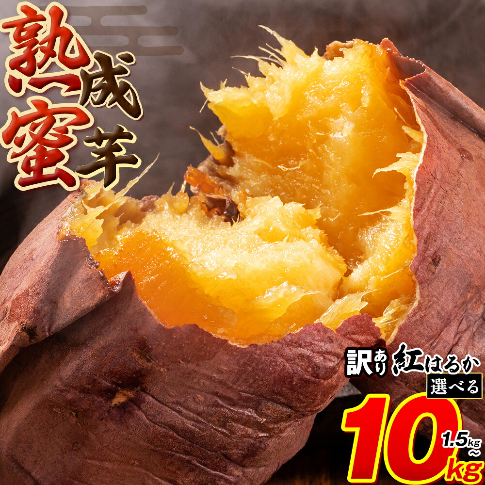 あんこ大前さん規格外さつまいも 送料込み おまけ付き 楽天市場】【発送開始】 送料無料 種子島産 安納芋（規格外