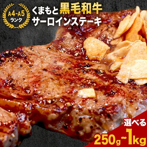 【ふるさと納税】 【A4～A5】くまもと黒毛和牛 サーロインステーキ 選べる 250g 500g 1kg 《30日以内に出荷予定(土日祝除く)》 牛肉 くまもと黒毛和牛 黒毛和牛 冷凍庫 サーロイン ステーキ Esprit