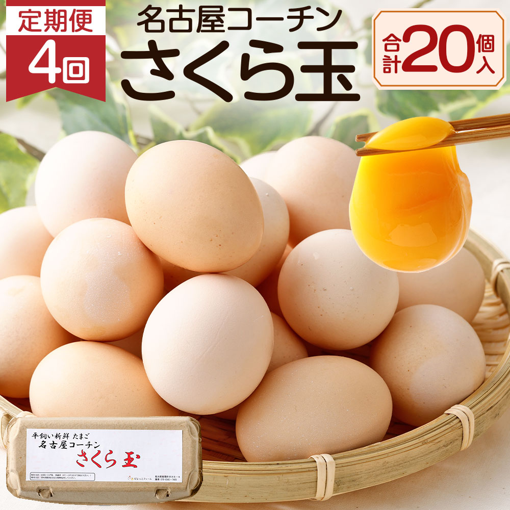 数量限定価格!! 平飼い 新鮮たまご 名古屋コーチン さくら玉 合計80個 10個入り×2パック×4回 定期便 4回 たまご 卵 玉子 生卵 鶏卵  冷蔵 九州産 熊本県 菊陽町 送料無料 fucoa.cl