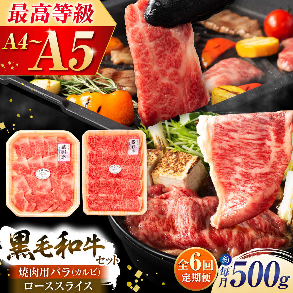 【ふるさと納税】【全6回定期便】くまもと黒毛和牛「藤彩牛」2種の食べ比べ計500g 3900 / カルビ 牛カルビ バラ かるび バラカルビ 和牛 ぎゅうにく うし 熊本県 菊陽町 肉 にく 新鮮 お祝 ギフト 贅沢 誕生日 ご褒美 厳選 牛 ぎゅう 【株式会社フジチク】[BHAD037]｜熊本県菊陽町