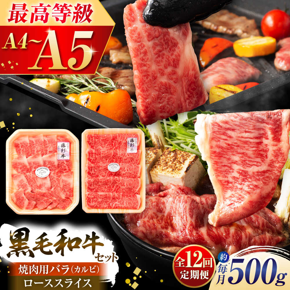 【ふるさと納税】【全12回定期便】くまもと黒毛和牛「藤彩牛」2種の食べ比べ計500g 3900 / 熊本県 菊陽町 肉 にく 新鮮 お祝 ギフト 贅沢 誕生日 ご褒美 厳選 牛 ぎゅう 【株式会社フジチク】[BHAD038]