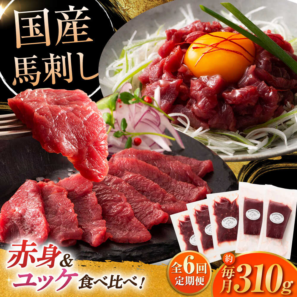 精肉・肉加工品 【ふるさと納税】【全6回定期便】フジチク 国産馬刺し 