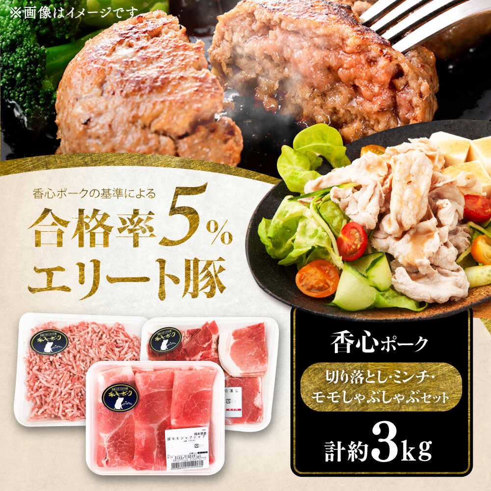 【ふるさと納税】【香心ポーク】切り落とし、ミンチ、モモしゃぶセット(計約3kg) 【有限会社コーシン】[BHAH002]きりおとし しゃぶしゃぶ モモ肉 もも ミンチ 豚肉 ぶたにく ぶた肉 ブタ肉 ブタ ポーク ハンバーグ 小分け 冷凍 餃子 スライス 熊本 菊陽