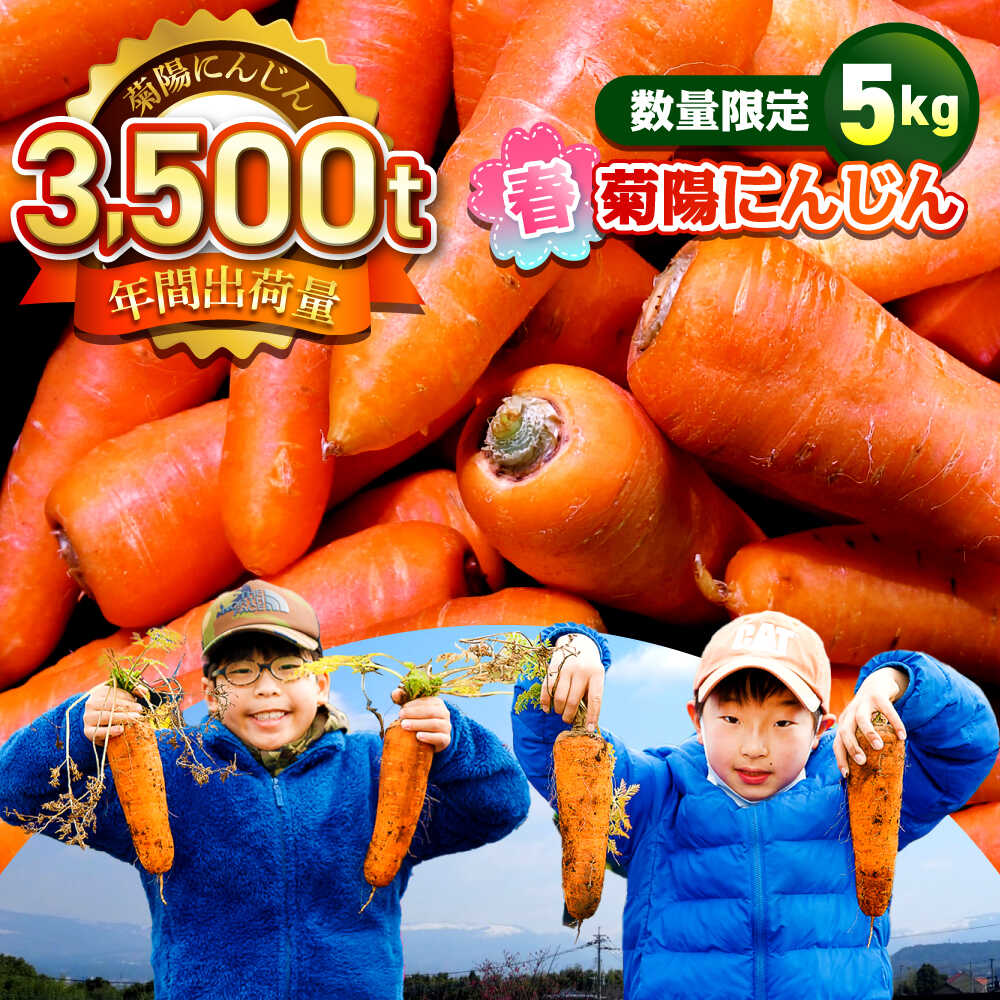 【ふるさと納税】【数量限定】菊陽町の春にんじん 5kg 人参 ニンジン 菊陽にんじん にんじん 5キロ 熊本県産 春にんじん 【有限会社さんふれあ】[BHAK001]