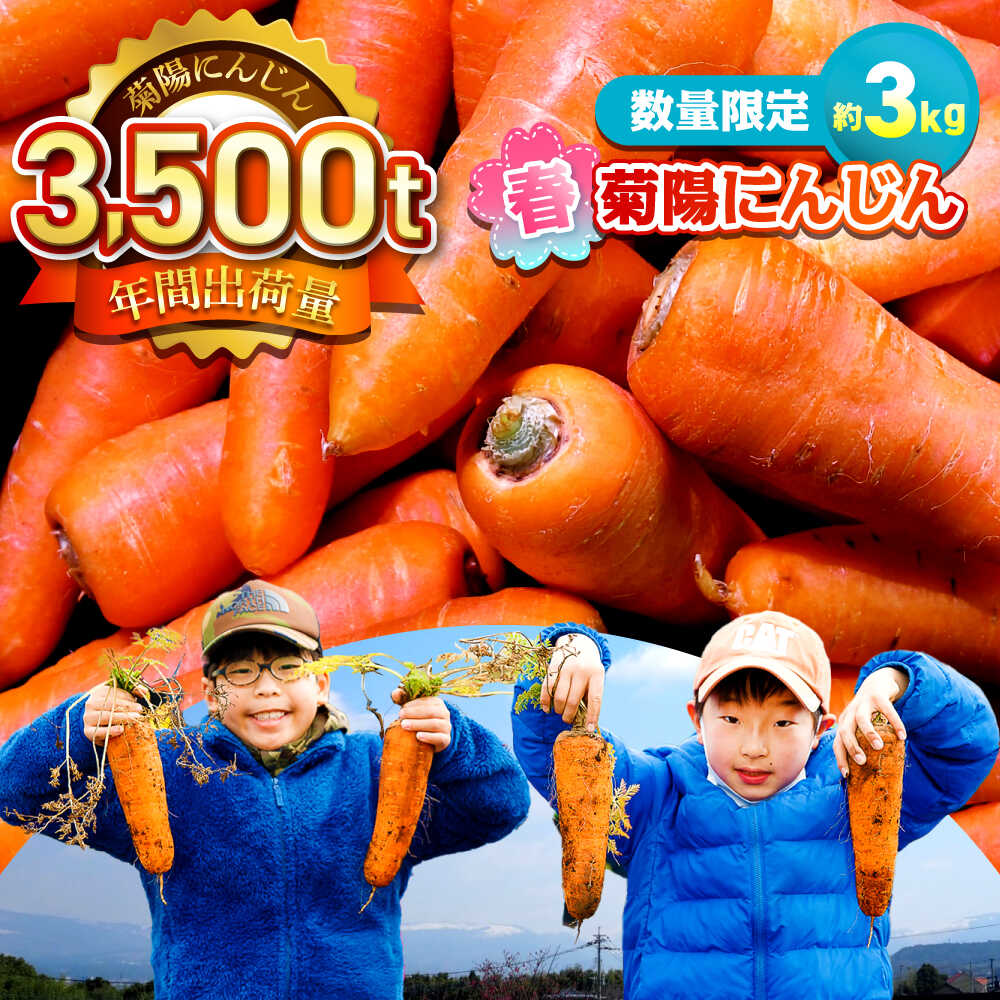 【ふるさと納税】【4月中旬より順次発送予定】【数量限定】菊陽町の春にんじん(菊陽にんじん) 約3kg[BHAK003]