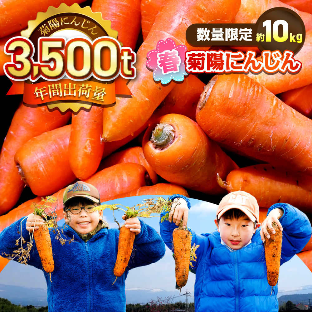 【ふるさと納税】【4月中旬より順次発送予定】【数量限定】菊陽町の春にんじん 約10kg【有限会社さんふれあ】[BHAK004]