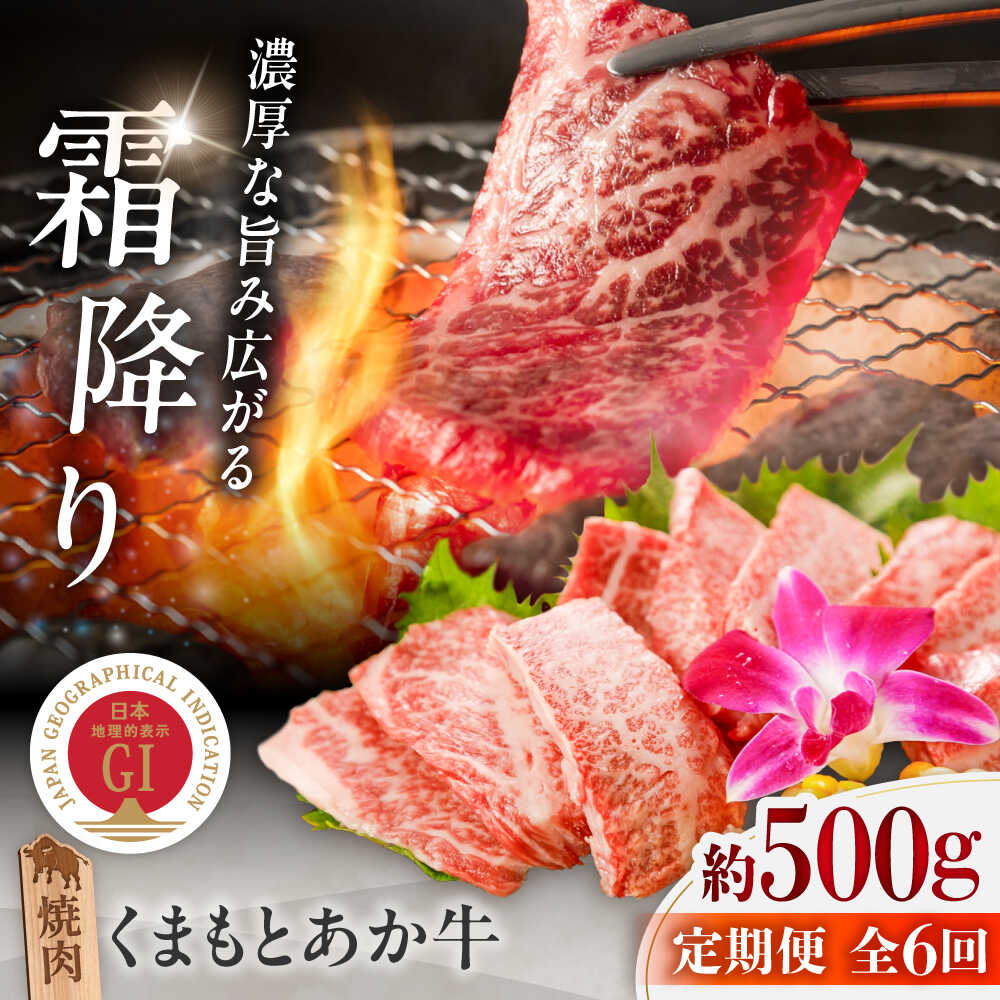 【ふるさと納税】【全6回定期便】GI認証 くまもとあか牛 焼肉 約500g 計約3kg / 霜降り 高品質 あか牛 牛肉 牛 ぎゅう うし 赤牛 あかうし 赤うし 脂 旨み 九州 熊本県 菊陽町【菊陽町(阿蘇牧場)】[BHAZ027]
