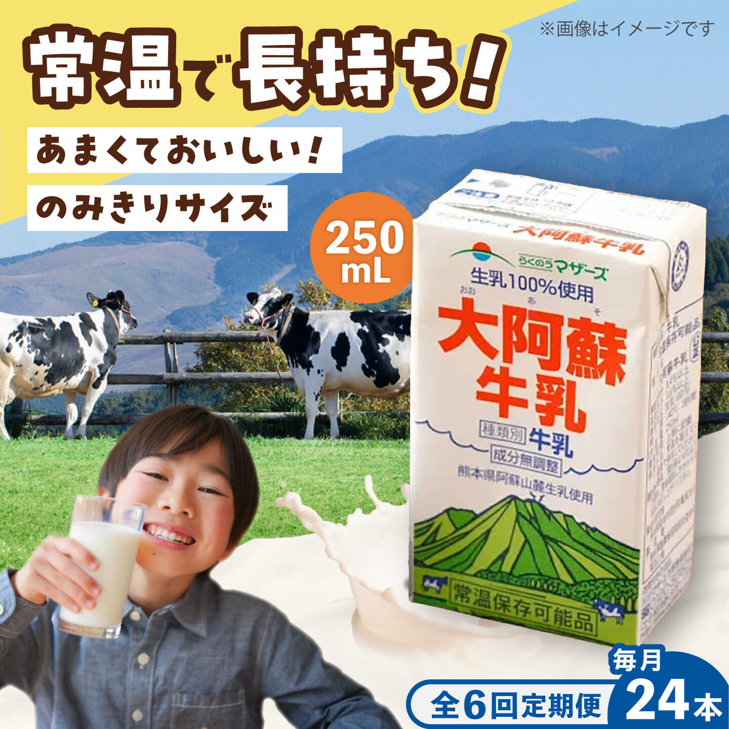 【ふるさと納税】【全6回定期便】大阿蘇 牛乳 250ml(24本入り) / 阿蘇 熊本 乳牛 生乳 牛乳 無調整 自然 らくのう 成分無調整牛乳 ミルク カルシウム 常温保存 長期保存 送料無料 熊本県 菊陽町 国産 九州 紙パック 【合同会社 たべたせいか】[BHBY023]｜熊本県菊陽町