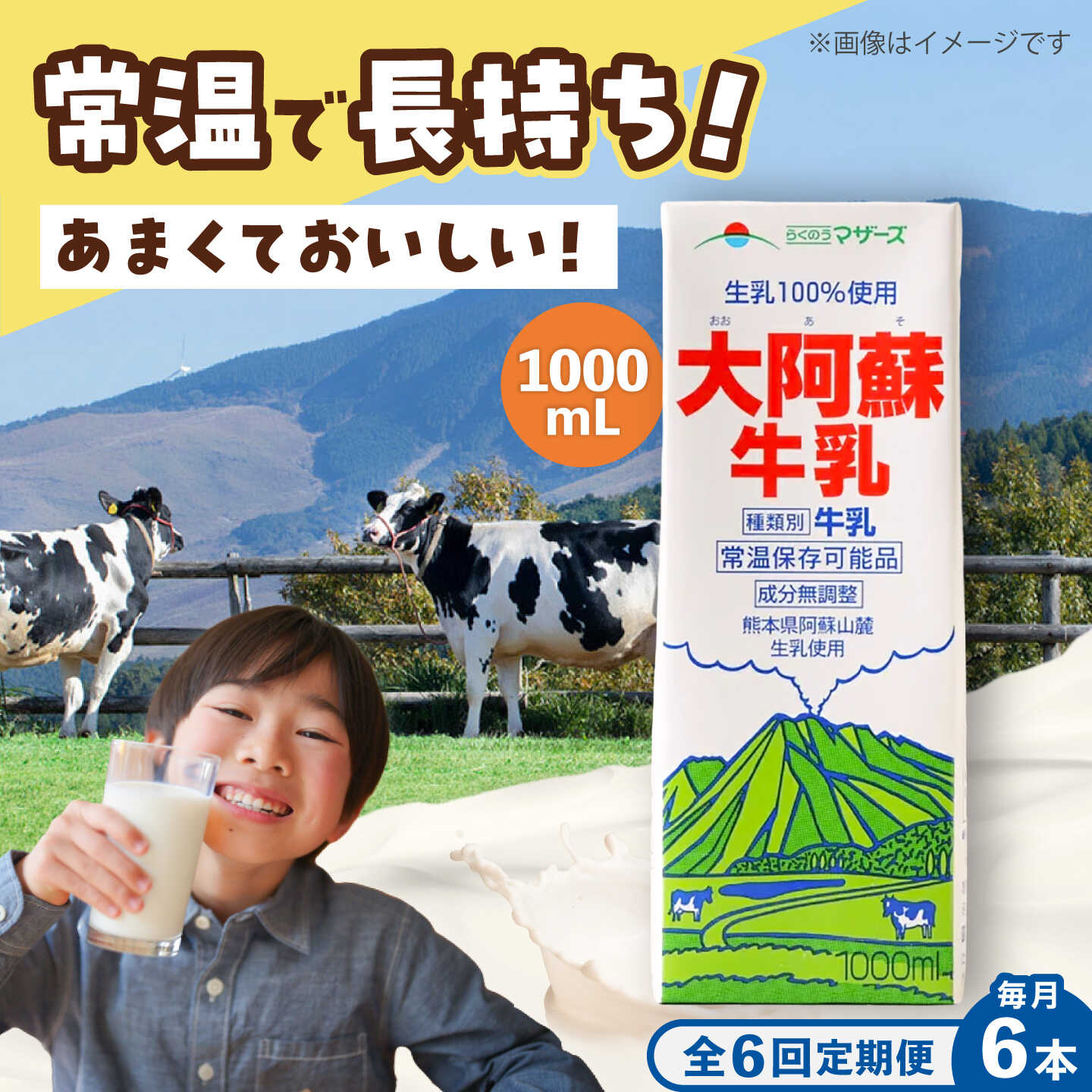 【ふるさと納税】【全6回定期便】大阿蘇 牛乳 1000ml 紙パック(6本入) / 阿蘇 熊本 乳牛 生乳 牛乳 無調整 自然 らくのう 成分無調整牛乳 ミルク カルシウム 常温保存 長期保存 送料無料 熊本県 菊陽町 国産 九州 紙パック【合同会社 たべたせいか】[BHBY025]｜熊本県菊陽町