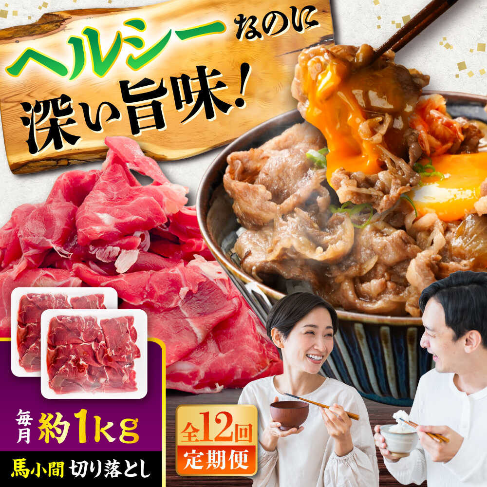 【ふるさと納税】【全12回定期便】馬小間切り落とし 約1kg (約500g × 2パック) / 馬肉 こま切れ きりおとし 切落とし 馬小間 熊本 馬肉 切り落とし ヘルシー【五右衛門フーズ】[BHCY040]