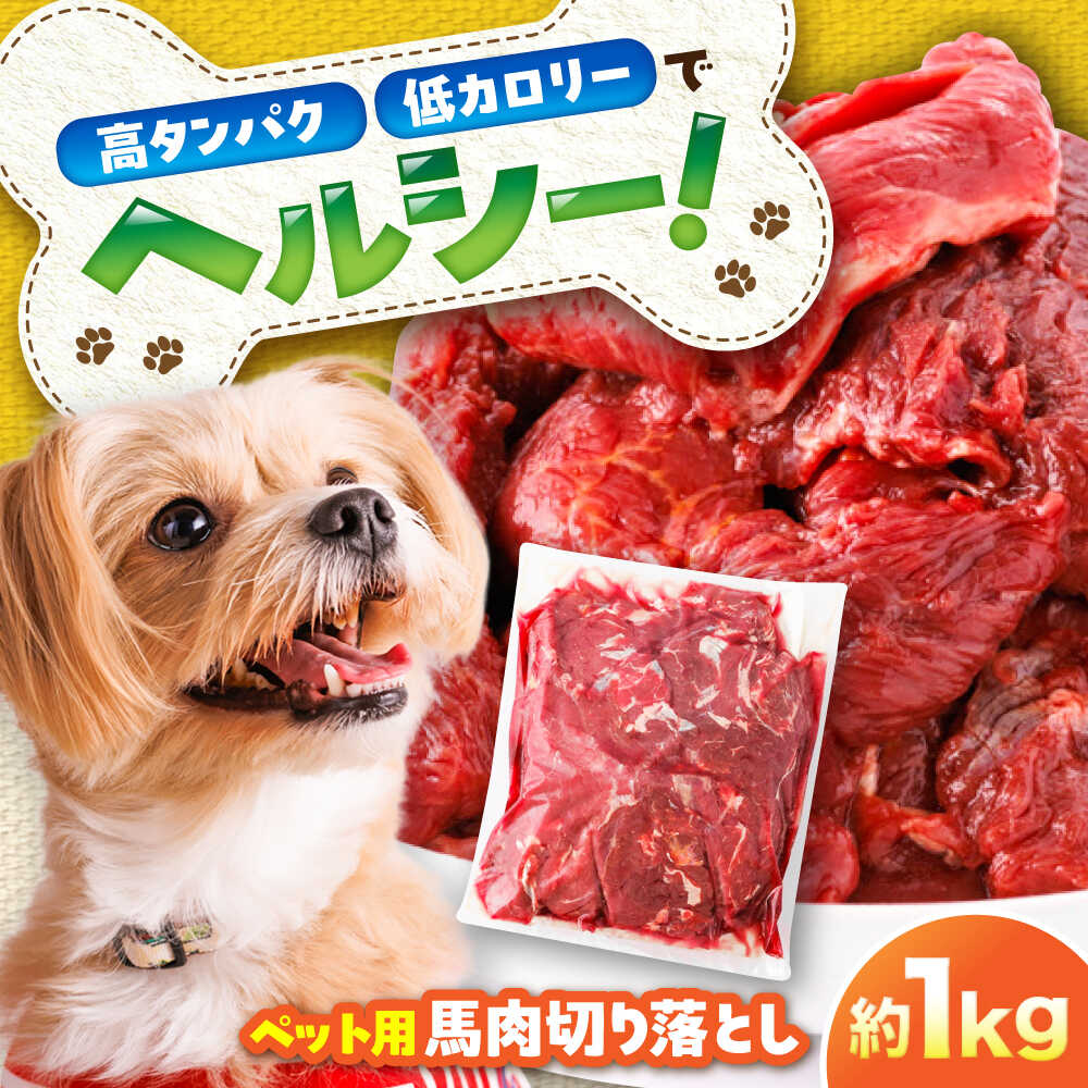 【ふるさと納税】国内加工 ペット用 馬肉 切り落とし 約1kg / ペットフード ドッグフード 愛犬 馬肉 生食 加熱 ペット用 【五右衛門フーズ】[BHCY053] 9,940円