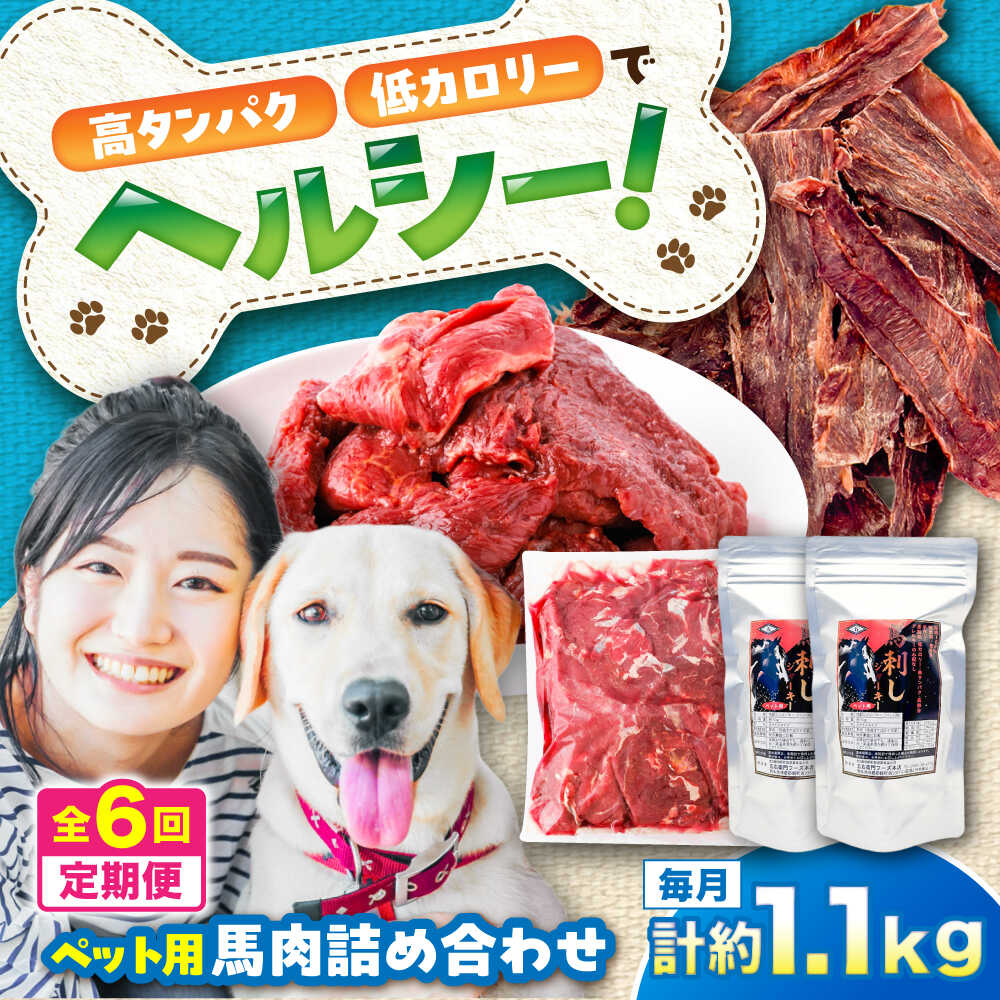 人気❣️ウサギ フクロウ 多肉植物 セット ガーデニンググッズ