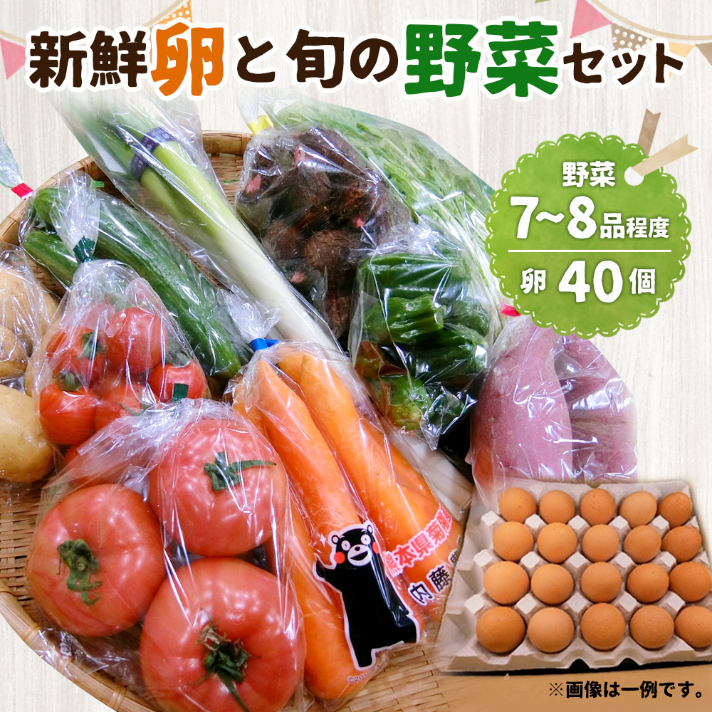 マーケティング 新鮮卵と旬の野菜セット 目安7〜8品 卵 たまご タマゴ 野菜 セット 詰め合わせ 国産 九州産 熊本県産 送料無料 fucoa.cl