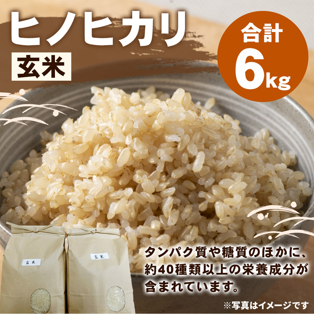 爆安プライス 飼料米 くず米 令和４年度 兵庫県産 ヒノヒカリ