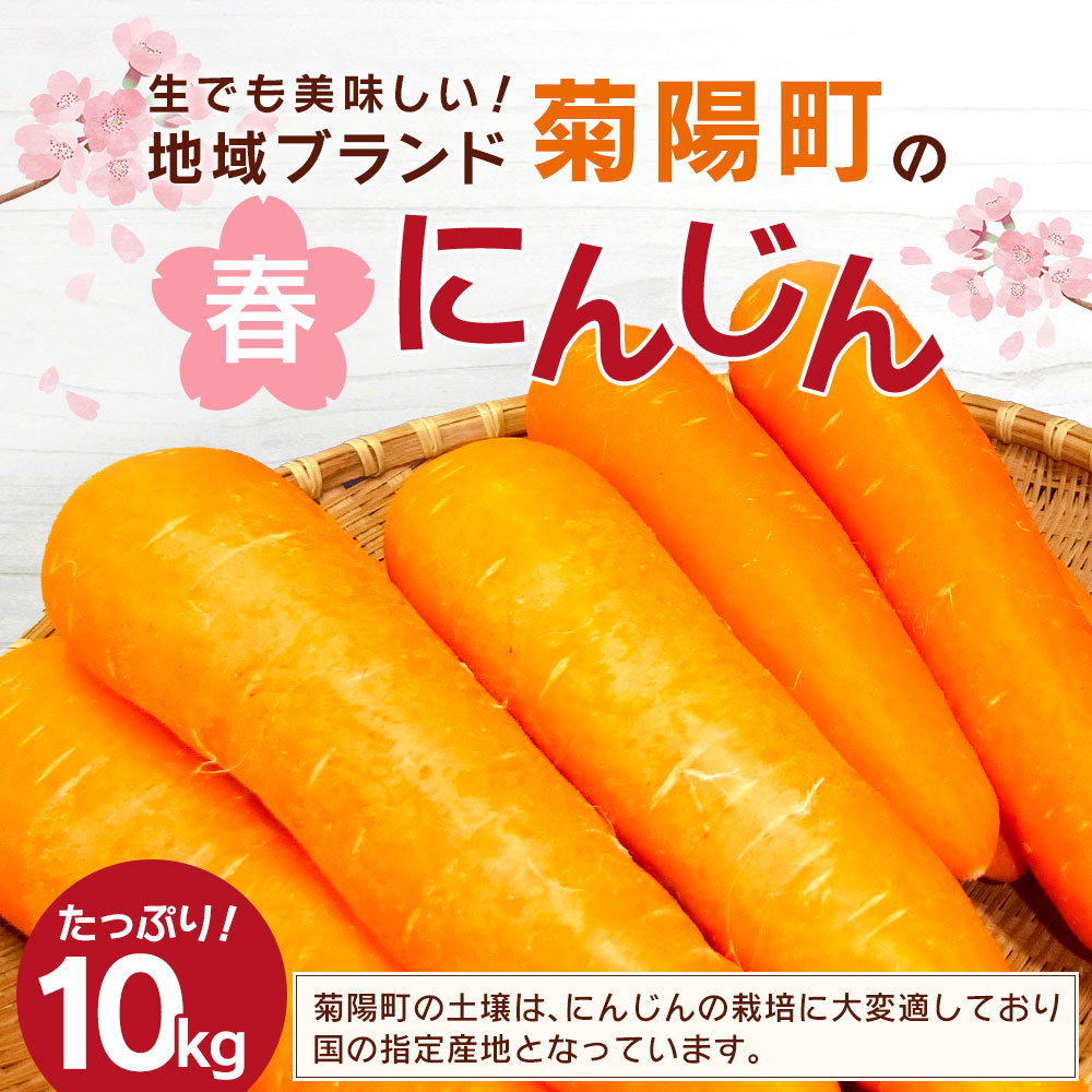 最大57 オフ ふるさと納税 菊陽町の春にんじん 10kg 産地ブランド 菊陽にんじん にんじん 人参 ニンジン 春 野菜 国産 大容量 産地直送 九州 熊本県 菊陽町 冷蔵 送料無料 Sferavisia Hr