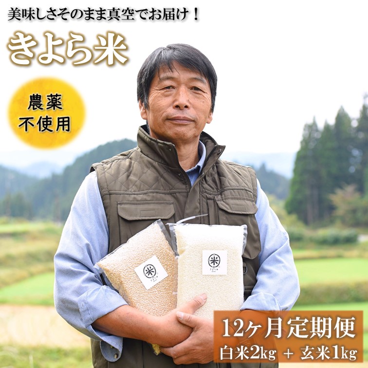 ポイント10倍 楽天市場 ふるさと納税 定期便 12ヶ月 米 白米 玄米 食べ比べ 3kg 農薬不使用 無農薬 有機栽培 令和2年 真空パック きよら米 熊本 南小国町 送料無料 熊本県南小国町 日本全国送料無料 Sira Life