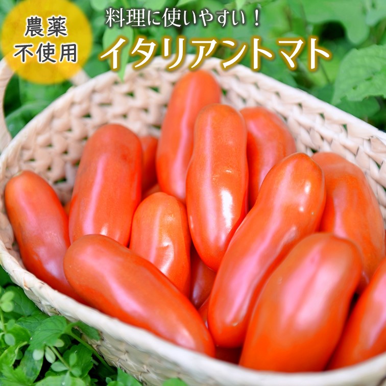 ふるさと納税 夏季限定 イタリアントマト 2kg あっぷるみんと 農薬不使用 化学肥料不使用 旬の味覚 有機栽培 トマト 野菜 加工用 熊本 南小国町 送料無料 Lafukas Lt
