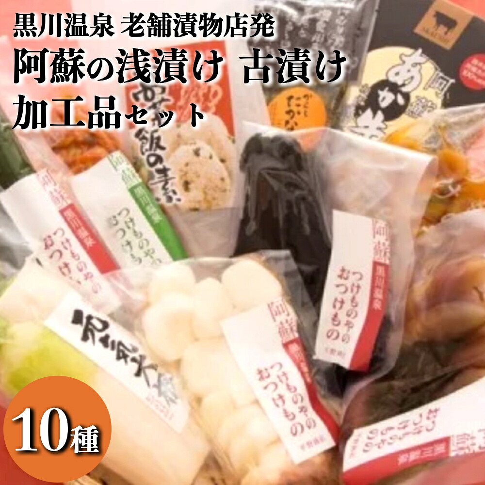 お気にいる 楽天市場 ふるさと納税 漬物 詰め合わせ セット 食べ比べ 老舗 ご飯のお供 高菜漬け 辛子高菜 高冷地野菜 ギフト 熊本 阿蘇 南小国町 送料無料 熊本県南小国町 大流行中 Lexusoman Com