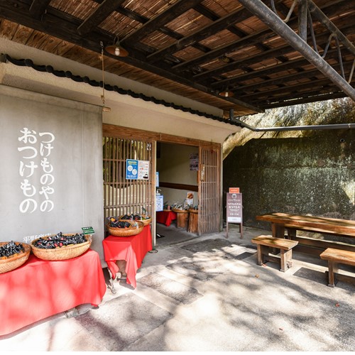 ふるさと納税 黒川温泉発 阿蘇高菜の浅漬け