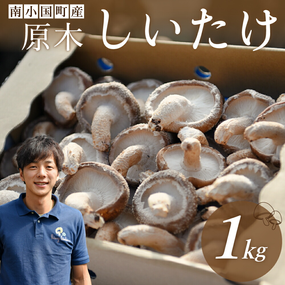 【ふるさと納税】 南小国産 原木しいたけ 1kg 極上 きのこ キノコ 椎茸 しいたけ シイタケ 生 野菜 極上 高級 ギフト 贈答用 下城きのこ園 熊本 阿蘇 南小国町 送料無料