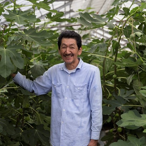 【ふるさと納税】【南小国産イチジク×大分産はちみつ】HoneyFig2本セット