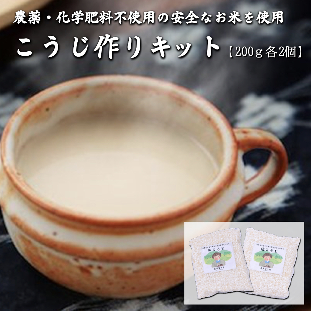 ふるさと納税 細工場菜々色つや ご飯イースト 塩類麹 絶無農薬 農薬不アプリケーション ごんべえ米 こめこうじ 米こうじ 甘酒 熊本 南小国村落 貨物輸送無料 Gruposigaservicos Com Br