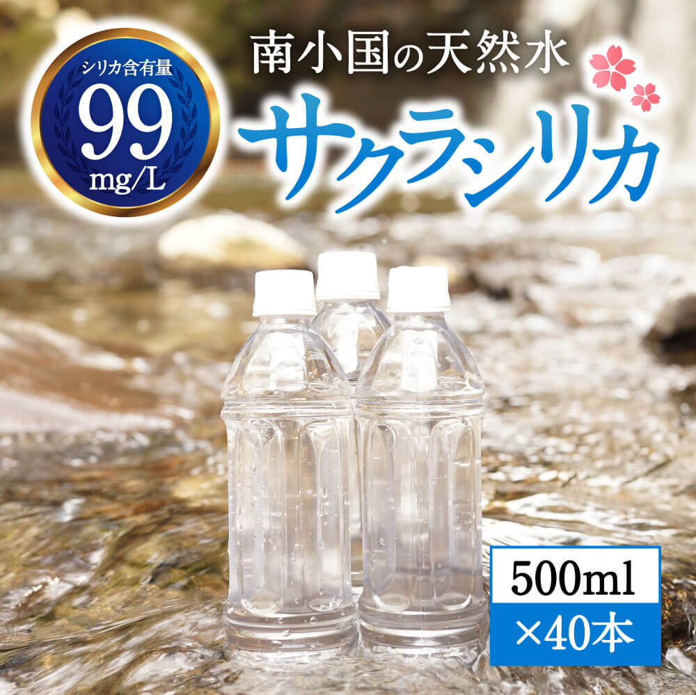 楽天市場】【ふるさと納税】《選べる発送》関平鉱泉水500ml
