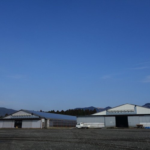 ふるさと納税 熊本県産 国産 牛 ランプステーキ 牛肉 300g あか牛 国産牛