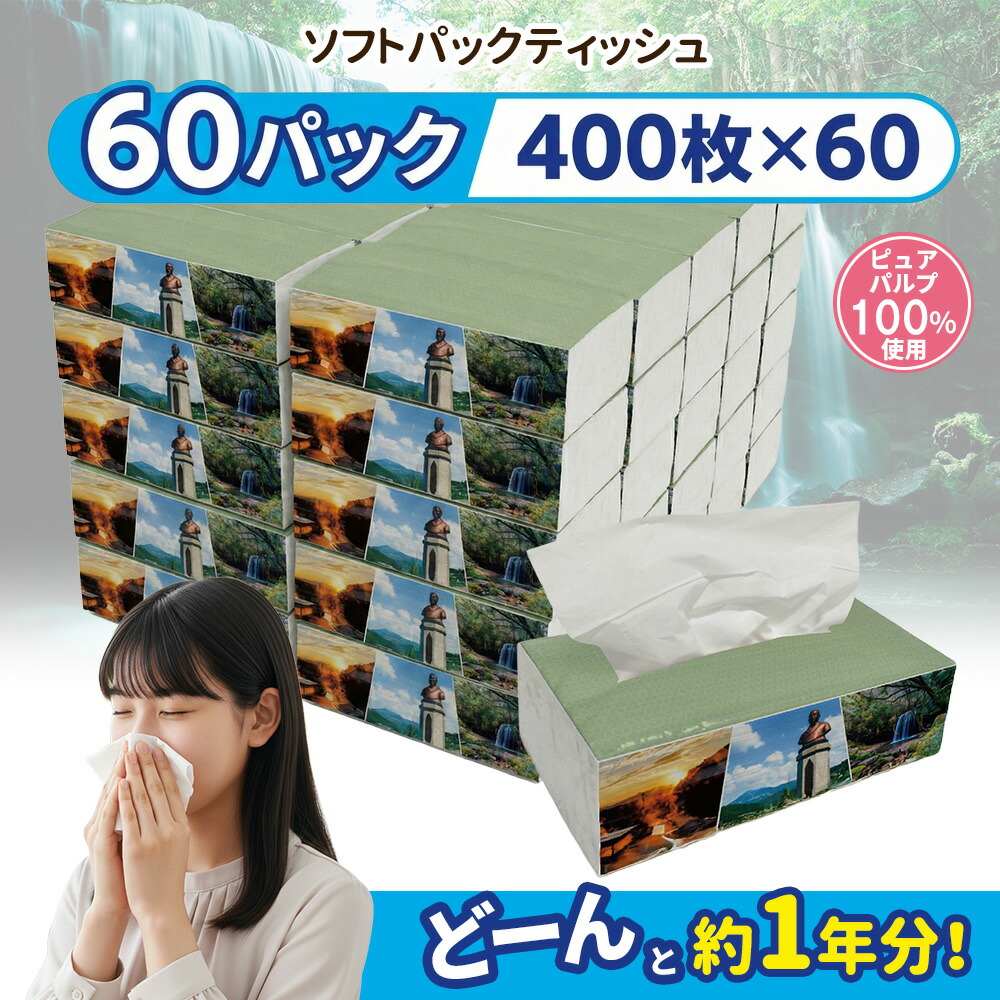 【ふるさと納税】 ソフトパックティッシュ 60容器に並べる 400枚 200組 小国町事あたらしい ちり紙 ピュアパルプ もの柔らか パウダーコンパクト ティッシュ 遣って行く勇気付ける 日装置 必需品品  まとめ買い 大電気容量 R8年6月先へ お届けまで最大限度3ヶ月以内 【地場生産物準拠集団：毛色3ロ（計画すること腹積もり）】