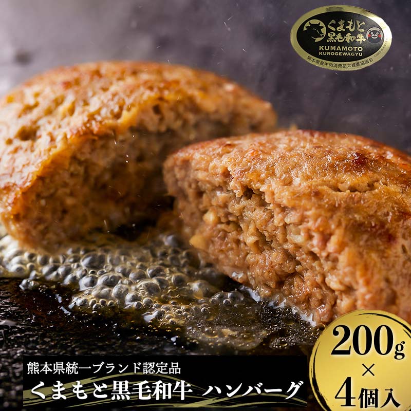 予約】 A4 A5 黒毛和牛 藤彩牛 肉 ハンバーグ 200g 大判 4個 800g ギフト 誕生日 内祝 お祝い お礼 プレゼント 贈答品 お取り寄せ  2〜4人前 牧場直送 消費期限 冷凍30日 送料無料 fucoa.cl