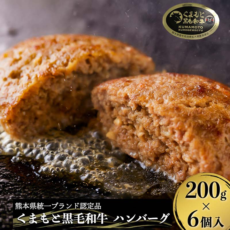 最終決算 A4 A5 黒毛和牛 藤彩牛 肉 ハンバーグ 200g 大判 6個 1200g 1.2kg ギフト 誕生日 内祝 お祝い お礼 プレゼント  贈答品 お取り寄せ 3〜6人前 牧場直送 消費期限 冷凍30日 送料無料 fucoa.cl