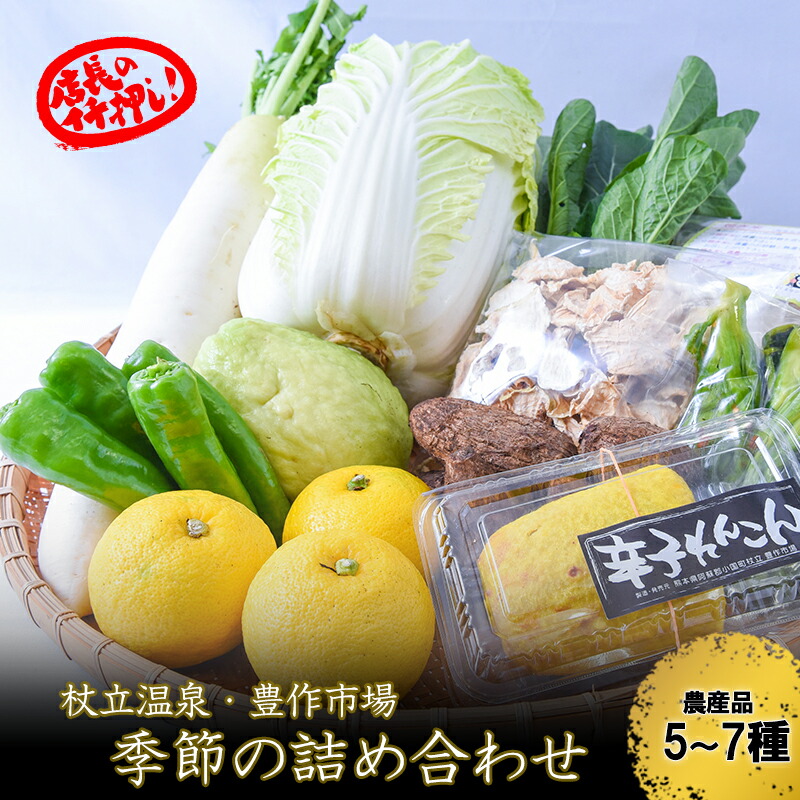 【ふるさと納税】野菜セット 加工品セット おまかせ 5～7種 阿蘇 小国 杖立温泉 産地直送 国産 ギフト プレゼント 辛子れんこん お歳暮 ご自宅用 ふるさと納税 冷蔵 送料無料 【地場産品：類型１】