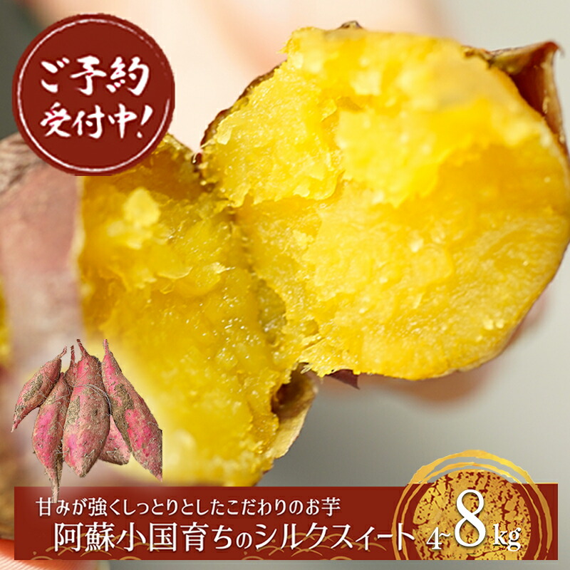 【ふるさと納税】先行予約 令和7年産 熟成 シルクスィート さつま芋 唐芋 長期貯蔵 産地直送 まとめ買い 九州産 熊本産 小国産 地場産 スイーツ 蜜芋 4kg 8kg 贈答 ご家庭用 焼き芋 スィートポテト 高糖度 GAP認証 6次産業認定 認定農家 送料無料【地場産品基準：類型1】