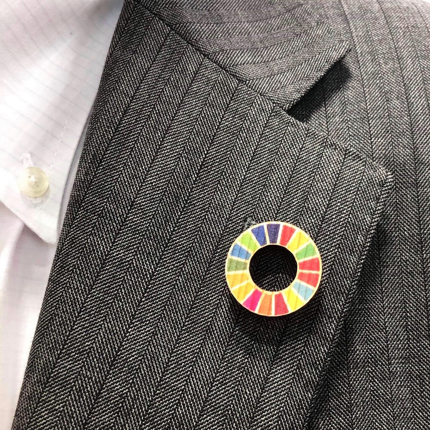 ふるさと納税 小国杉 生まれ付き高木 国産 阿蘇 熊本 木製 一番エンブレム Sdgs サスティナブル アイコン 供え 貰物 進呈 ふるさと納税 送料無料 Daemlu Cl