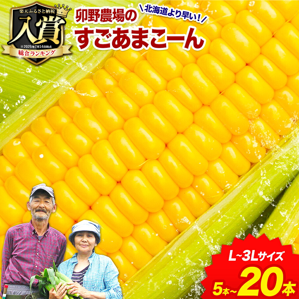 【ふるさと納税】【先行予約】 ランキング 入賞 すごあまこーん とうもろこし 極甘 スイートコーン ゴールドラッシュ 恵味 5本 10本 20本《2026年7月中旬-8月上旬頃出荷予定》熊本県 産山村 野菜 コーン トウモロコシ コーンスープ 冷蔵 スーパーSALE 送料無料