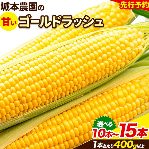 【ふるさと納税】 《先行受付開始》産地直送 朝採れスイートコーン(ゴールドラッシュ)15本セット 10本セット 特大 熊本 阿蘇 産山村 冷蔵 高糖度 夏野菜 トウモロコシ ギフト 今が旬 コーン 旬 お取り寄せ 人気 大人気 贈答 とうきび 送料無料《2025年7月中旬-8月下旬出荷》