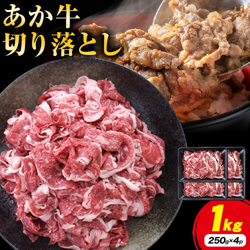【ふるさと納税】熊本県産 あか牛 切落し 1kg(250g×4パック) UBUYAMAPLACE《60日以内に出荷予定(土日祝除く)》あか牛 ユッケ 肉 小分け 牛肉 和牛|熊本県産山村