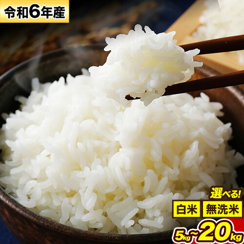 【ふるさと納税】令和6年産 無洗米 も選べる こしひかり 5kg 10kg 15kg 20kg 定期便 も選べる《7-14日以内に出荷予定(土日祝除く)》令和6年産 熊本県産 ふるさと納税 無洗米 白米 精米 ひの 米 こめ ふるさとのうぜい コシヒカリ コメ お米 おこめ