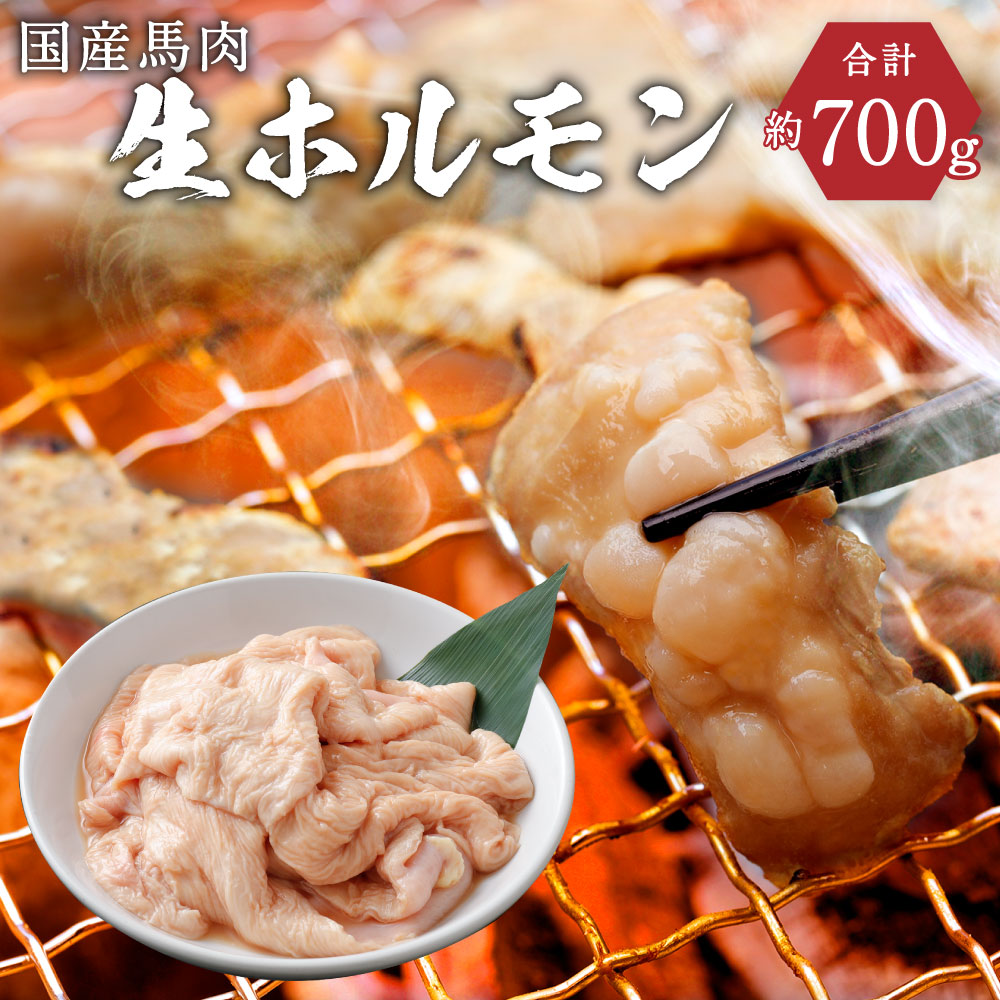 【ふるさと納税】国産馬肉 生ホルモン 約700g 焼肉・煮込み用 国産 九州産 熊本産 ホルモン 馬肉 大腸 冷凍 送料無料