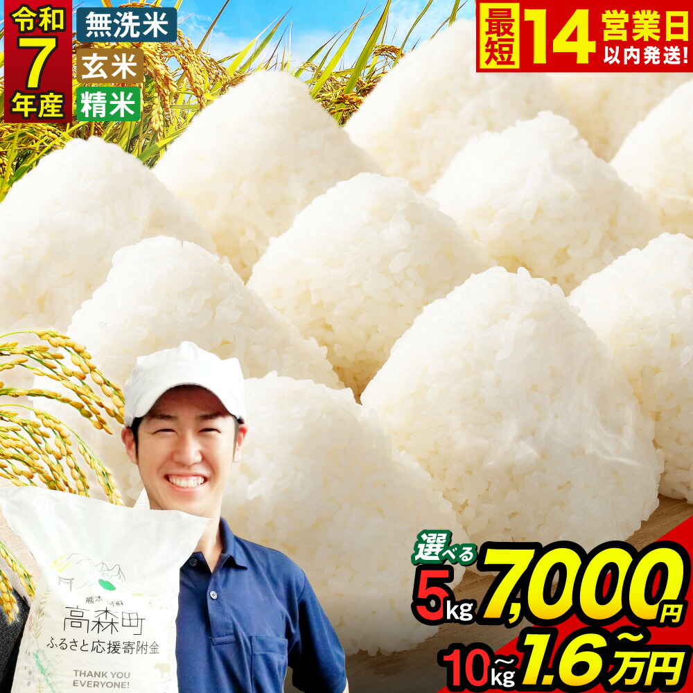 令和7年産 国内産 ほほえみ米 10kg (5kg×2個) お米 送料無料 白米 おいしい