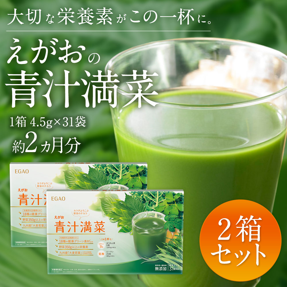 遠藤青汁冷凍1箱 100ｇ×28袋 健康 乳酸菌 ケール 美容