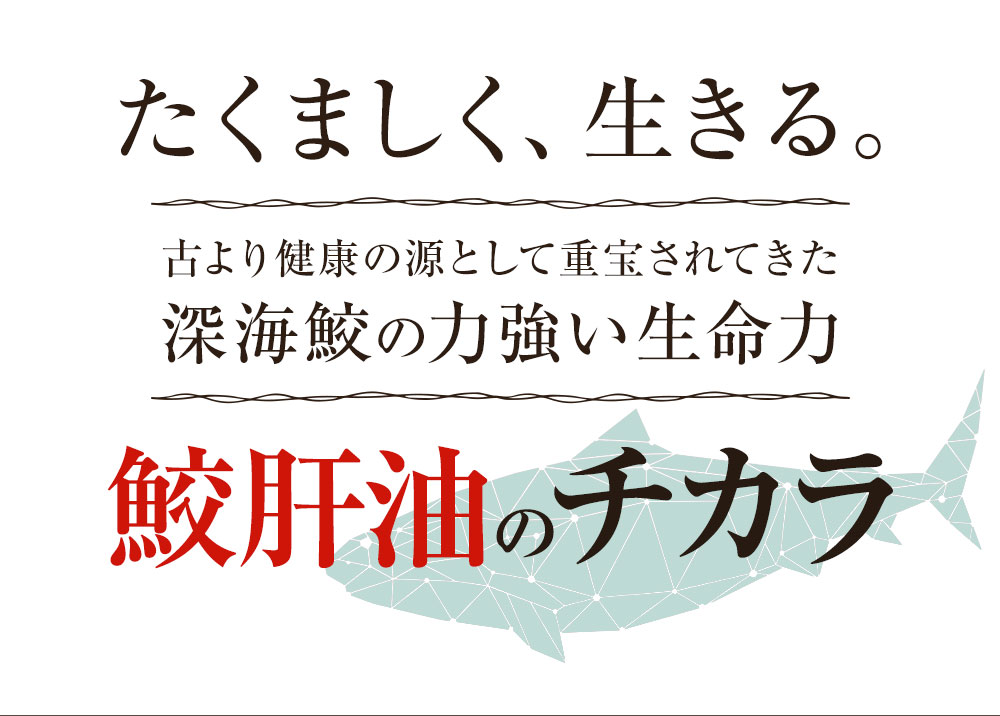 ふるさと納税 えがおの肝油鮫珠 3袋セット 約3ヵ月分 74 4g 186粒 肝油 深海鮫生肝油 生肝油 健康 サプリ サプリメント 国産 送料無料 septicin Com