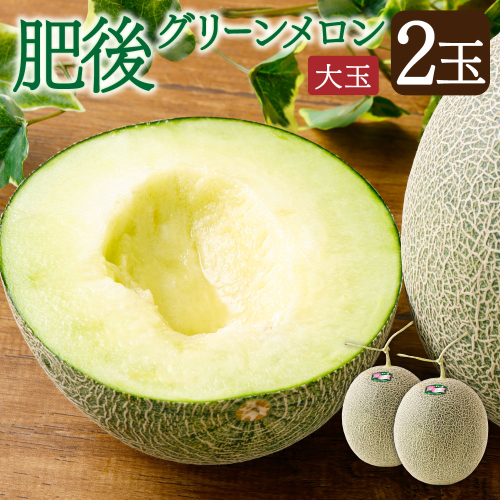 【ふるさと納税】肥後グリーンメロン 2玉 4.2kg～4.5kg 熊本県産 メロン 大玉 めろん 果物 フルーツ 国産 常温 送料無料  【2025年7月上旬～8月上旬に順次発送】