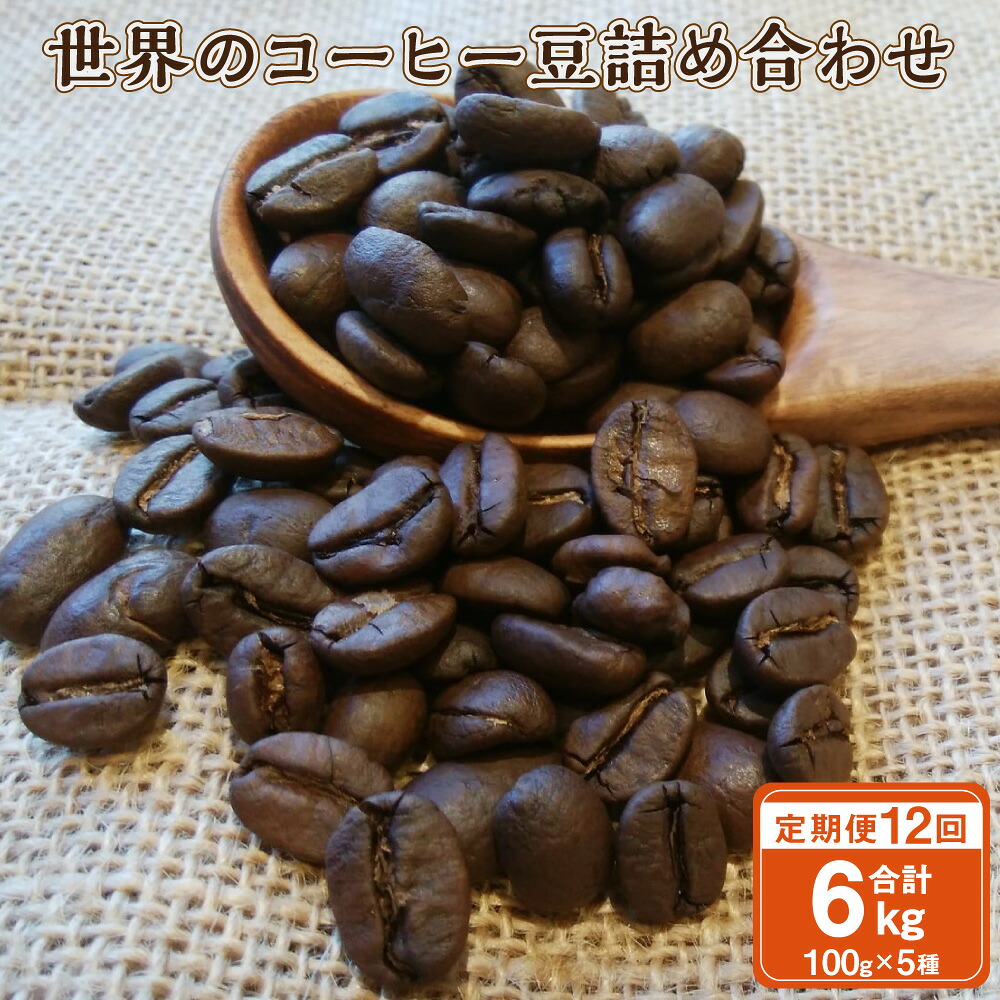 【ふるさと納税】【12ヶ月定期便】世界の コーヒー豆 詰め合わせ 合計6kg 500g （100g&times;5種） コーヒー 珈琲 自家焙煎 飲料 ドリンク 飲み比べ お取り寄せ 熊本県 阿蘇 高森町 送料無料｜熊本県高森町