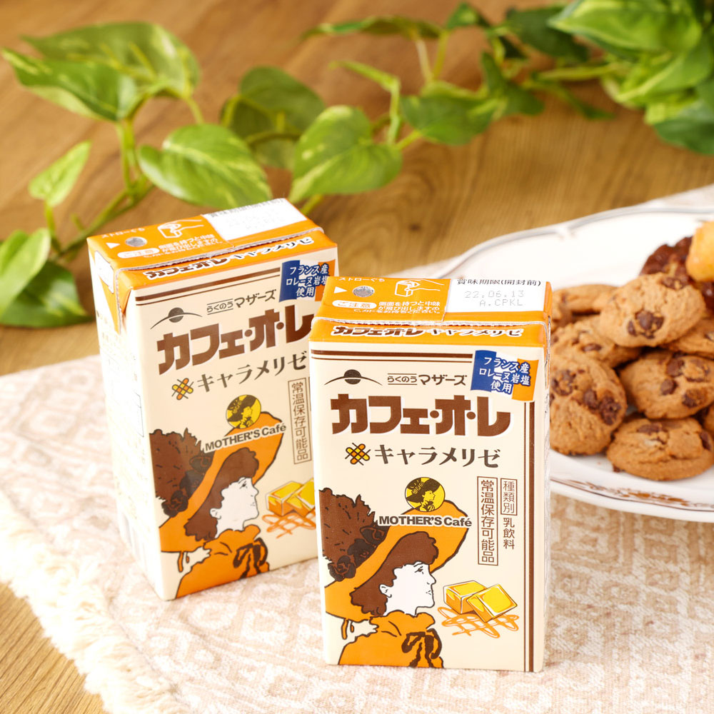 代引不可 カフェオレ 250ml×24本入×6回 1ケース らくのうマザーズ コーヒー牛乳 乳飲料 乳性飲料 紙パック 常温保存可能 ロングライフ  送料無料 031-015 fucoa.cl