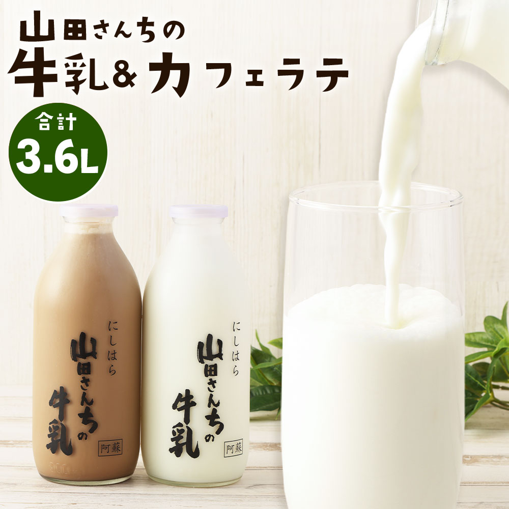 買い保障できる 楽天市場】【ふるさと納税】山田さんちの牛乳・カフェラテ レディースウェア