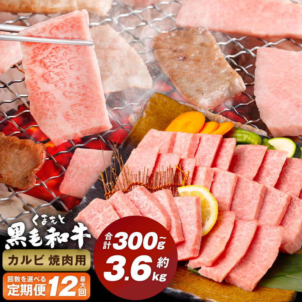 【ふるさと納税】<選べる定期便>くまもと黒毛和牛 カルビ 焼肉 1回300g 計600g~3.6kg 焼肉用 牛肉 肉 お肉 BBQ バーベキュー 焼き肉 和牛 国産 九州 冷凍 熊本県 西原村 送料無料|熊本県西原村