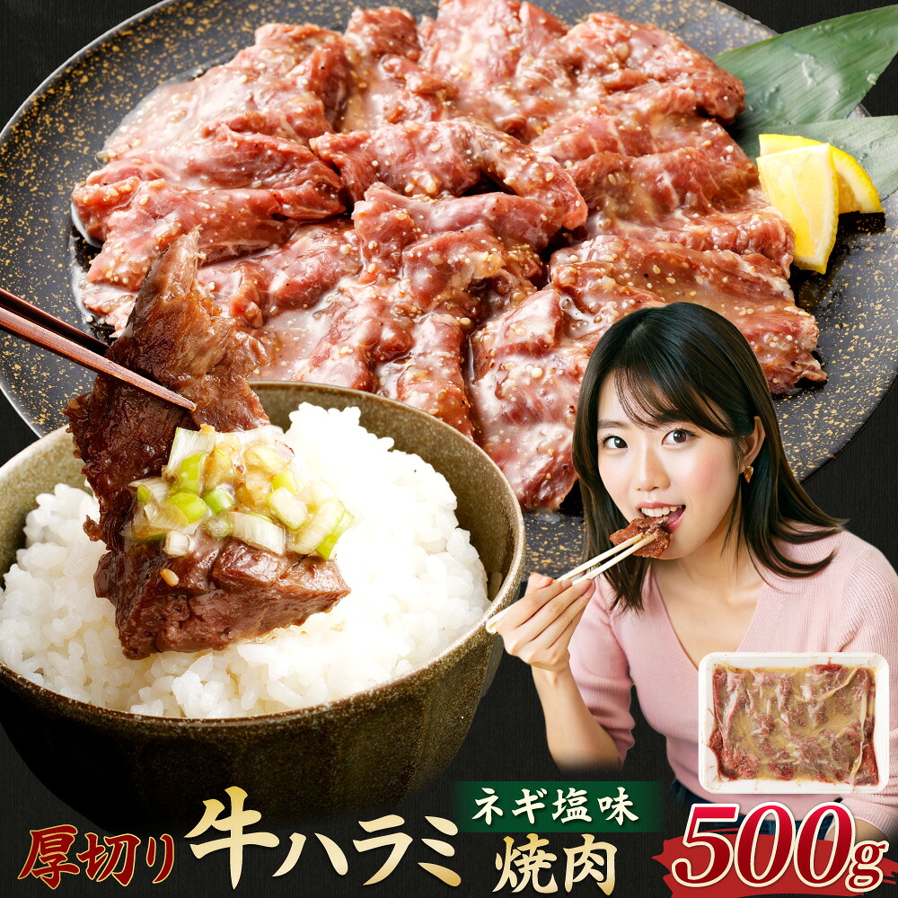 【ふるさと納税】厚切り 牛ハラミ焼肉（ネギ塩味） 500g 牛ハラミ 牛肉 肉 厚切 塩だれ ハラミ 焼き肉 焼肉 BBQ アウトドア 簡単調理 焼くだけ 熊本 九州 冷凍 西原村 送料無料 9,240円