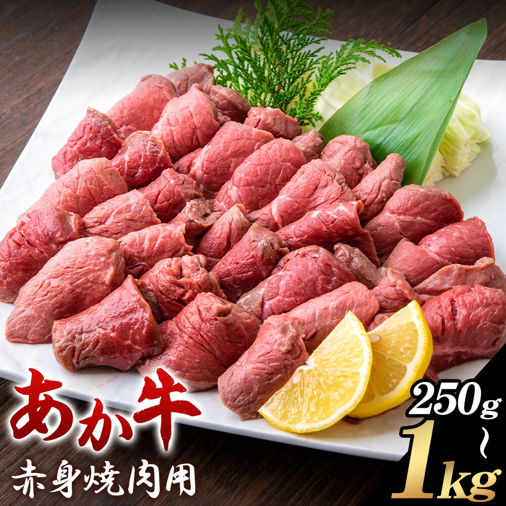 【ふるさと納税】あか牛 赤身焼肉用 選べる内容量 250g 500g 1kg 白水乃蔵《30日以内に出荷予定(土日祝除く)》熊本県 南阿蘇村 あかうし 赤牛 赤身 焼肉 冷凍 小分けパック 送料無料